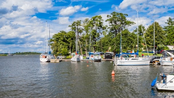 Wierzba - zdjęcie 31