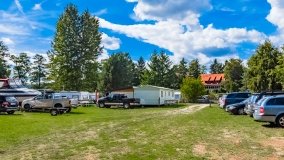 Wierzba - zdjęcie 28