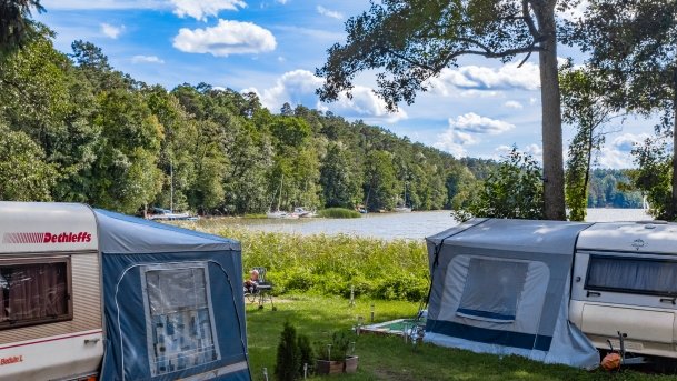 Wierzba - zdjęcie 26