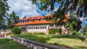 Wierzba - zdjęcie 25