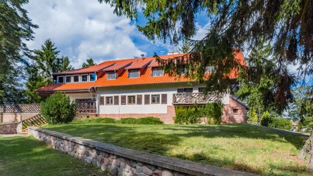 Wierzba - zdjęcie 25