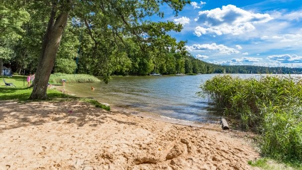 Wierzba - zdjęcie 24