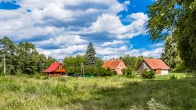 Wierzba - zdjęcie 23