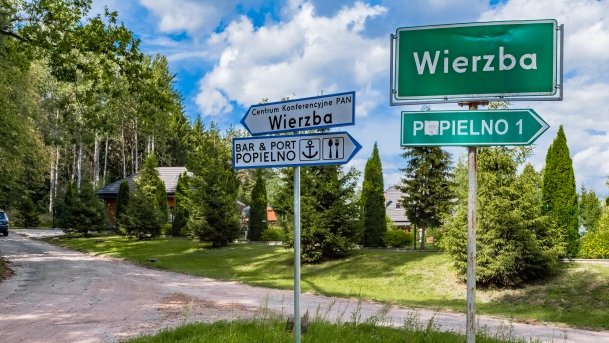 Wierzba - zdjęcie 22