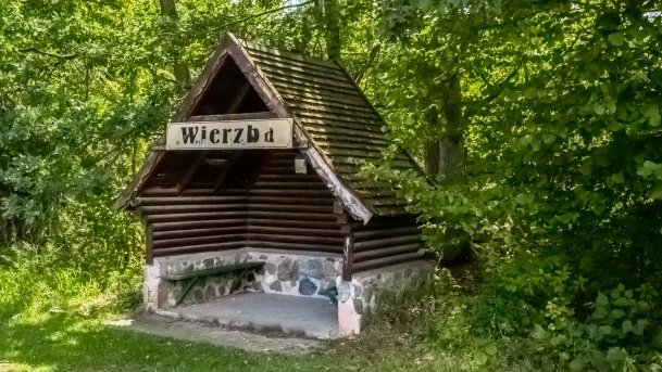 Wierzba - zdjęcie 21