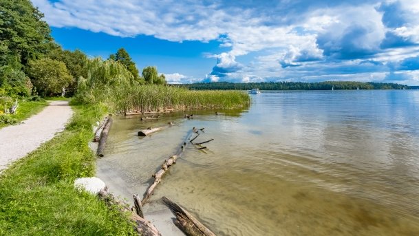 Bartlewo - zdjęcie 15