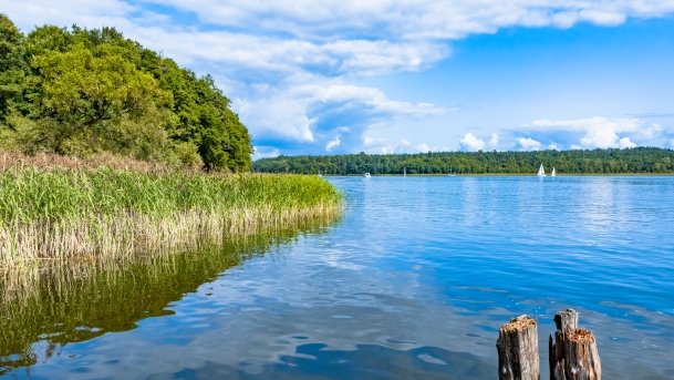 Bartlewo - zdjęcie 8