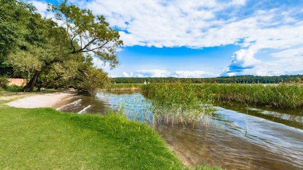 Bartlewo - zdjęcie 6