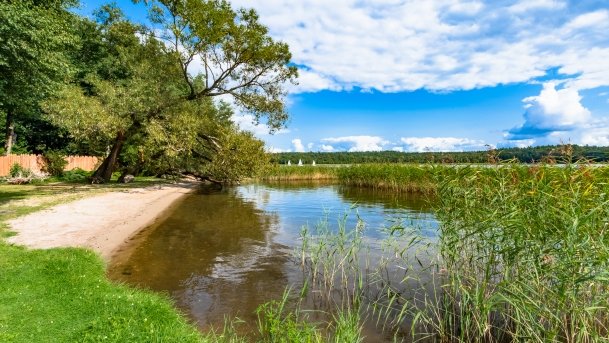 Bartlewo - zdjęcie 4