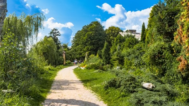 Bartlewo - zdjęcie 2