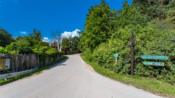 Iznota - zdjęcie 15