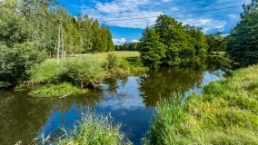 Iznota - zdjęcie 12