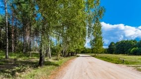 Iznota - zdjęcie 11