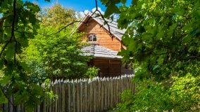 Iznota - zdjęcie 10