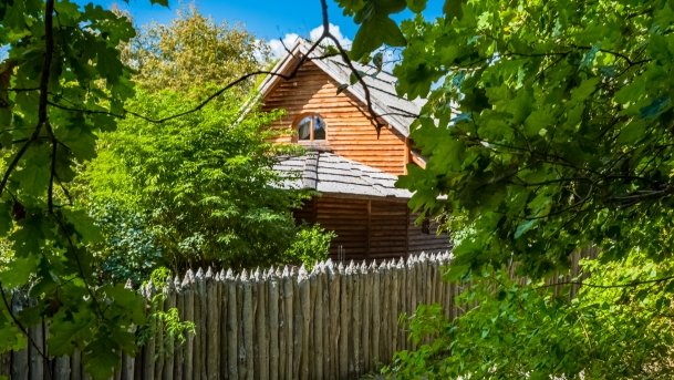 Iznota - zdjęcie 10