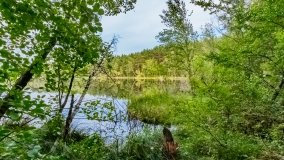 Kamień - zdjęcie 11