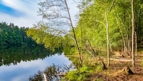 Kamień - zdjęcie 10