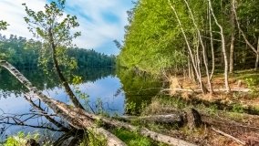 Kamień - zdjęcie 9