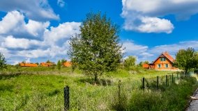 Kamień - zdjęcie 8