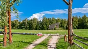 Kamień - zdjęcie 7