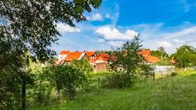 Wygryny - zdjęcie 63