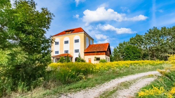 Wygryny - zdjęcie 60