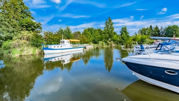 Wygryny - zdjęcie 54