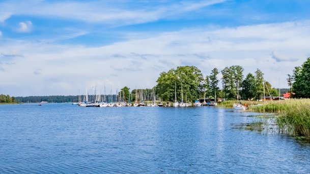 Wygryny - zdjęcie 51