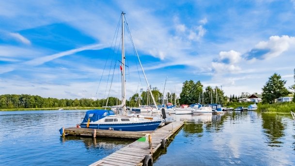 Wygryny - zdjęcie 47