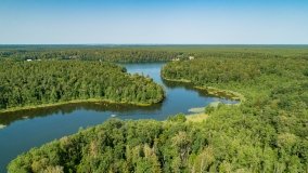 jezioro Guzianka Wielka - zdjęcie 14