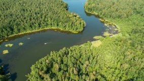 jezioro Guzianka Wielka - zdjęcie 11