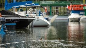 Port u Faryja - zdjęcie 69