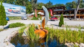 Port u Faryja - zdjęcie 121