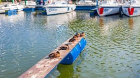 Port u Faryja - zdjęcie 116