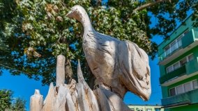 Ruciane-Nida - zdjęcie 119