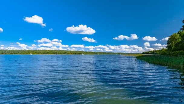 Nidzkie - zdjęcie 78