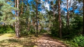 Krzyże - zdjęcie 26