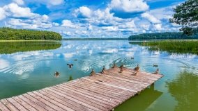 Karwica - zdjęcie 15