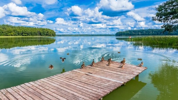 Nidzkie - zdjęcie 67