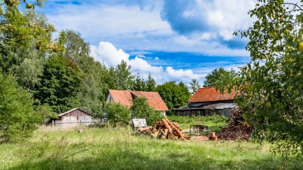 Karwica - zdjęcie 5