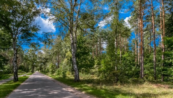 Karwica - zdjęcie 1