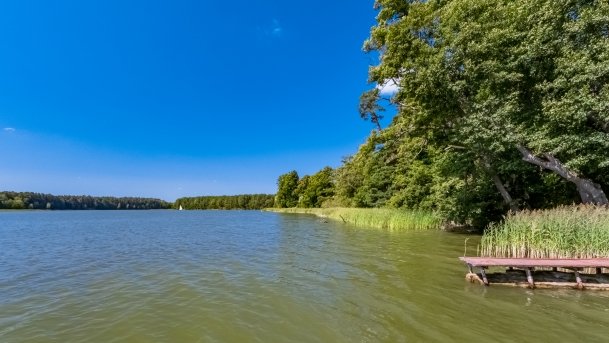 Nidzkie - zdjęcie 64