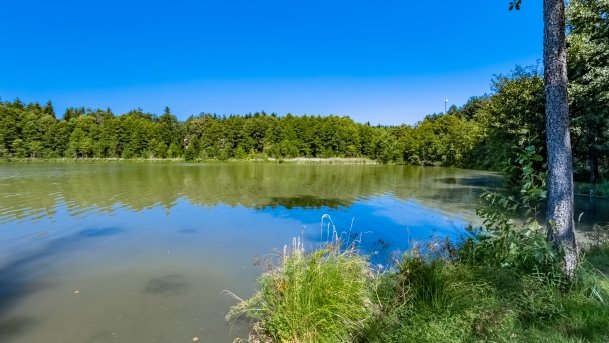 Nidzkie - zdjęcie 61