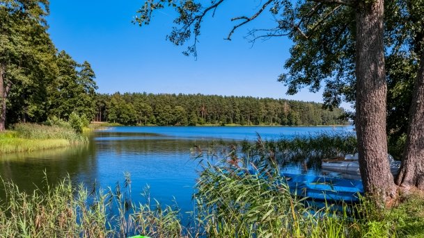 Wiartel - zdjęcie 17