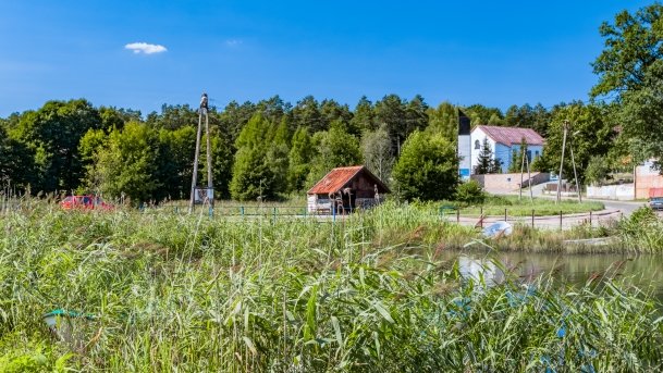 Wiartel - zdjęcie 16