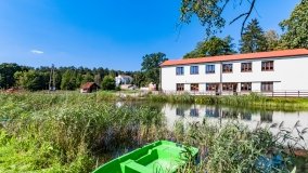 Wiartel - zdjęcie 15