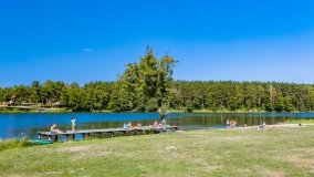 Wiartel - zdjęcie 7