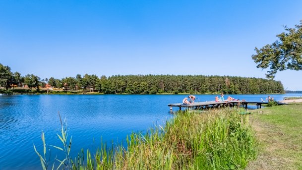 Wiartel - zdjęcie 6