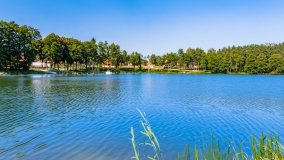 Wiartel - zdjęcie 5