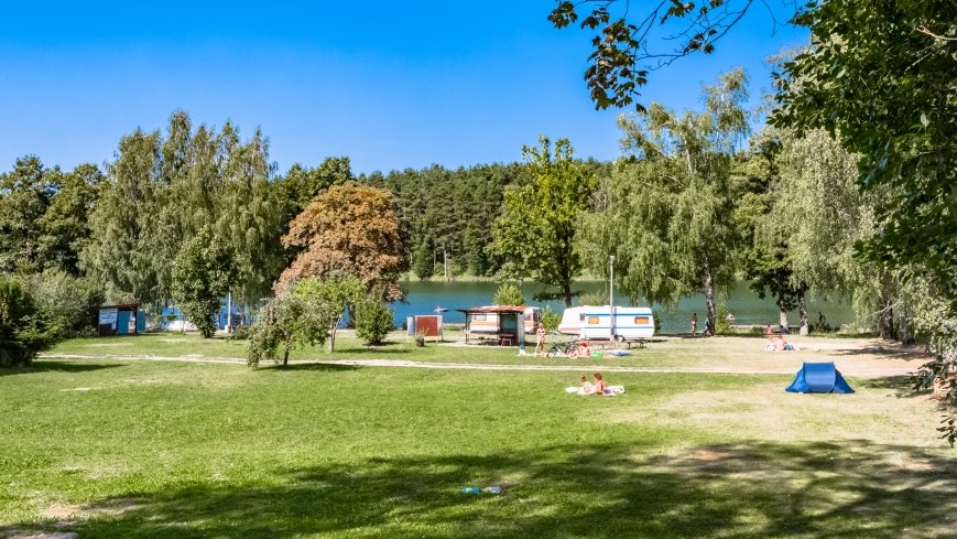 Wiartel - zdjęcie 1